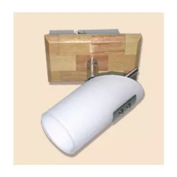 Светильник спот Citilux CL509511