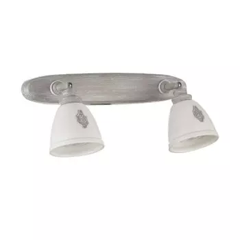 Светильник спот Maytoni SP289-CW-02-BG Agnes