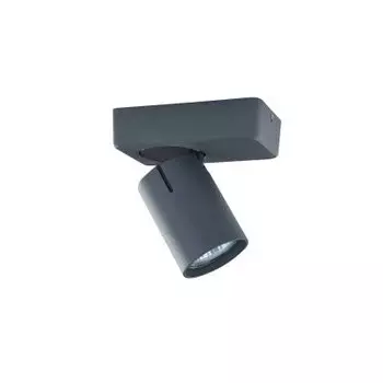 Светильник спот Vele luce VL8067s31 carrisi