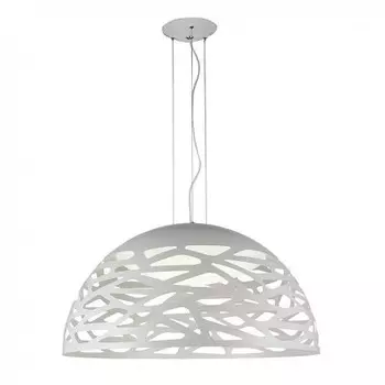 Светильник St Luce SL273.553.01