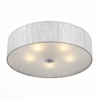 Светильник St Luce SL357.102.05