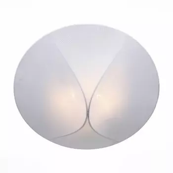 Светильник St Luce SL360.552.02
