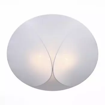 Светильник St Luce SL360.552.04