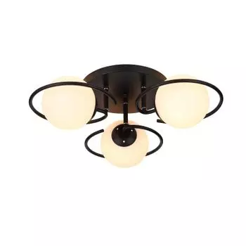 Светильник St luce SL418.402.03