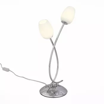 Светильник St luce SL478.104.02