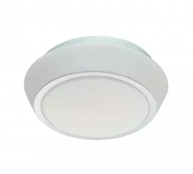Светильник St luce SL496.502.01