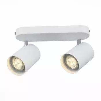 Светильник St Luce SL597.501.02