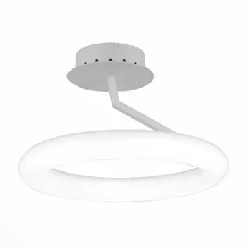 Светильник St Luce SL902.592.01