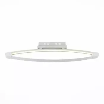 Светильник St Luce SL920.102.01