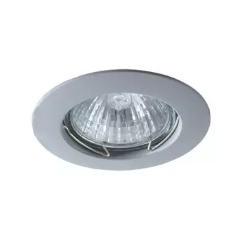 Светильник точечный Arte Lamp A2103PL-1GY BASIC