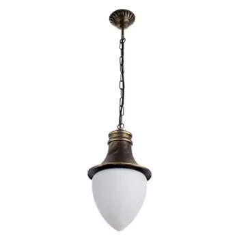 Светильник уличный подвесной Arte lamp A1317SO-1BN Vienna