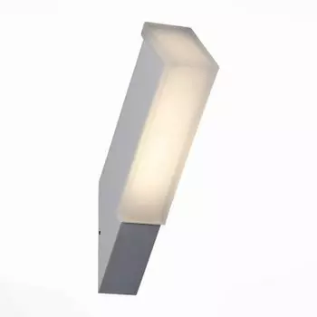 Светильник уличный диодный St Luce SL096.511.02