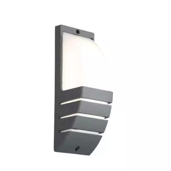 Светильник уличный настенный St luce SL091.701.01 VETTORE