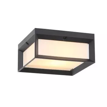 Светильник уличный потолочный St luce SL077.402.01