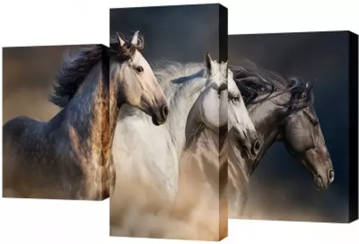 Трехмодуль TL-TM1001 TOPLIGHT