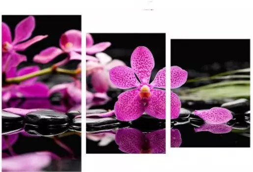 Трехмодуль TL-TM1007 TOPLIGHT