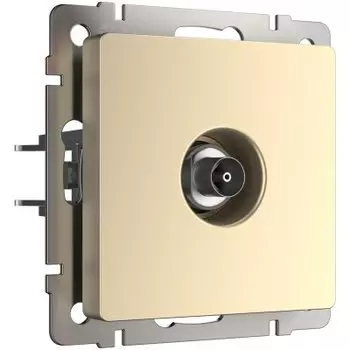 ТВ-розетка оконечная (шампань) W1183011 Werkel