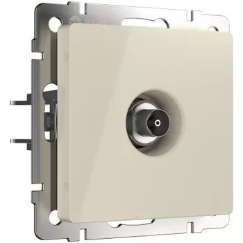 ТВ розетка оконечная (слоновая кость) W1183003 Werkel