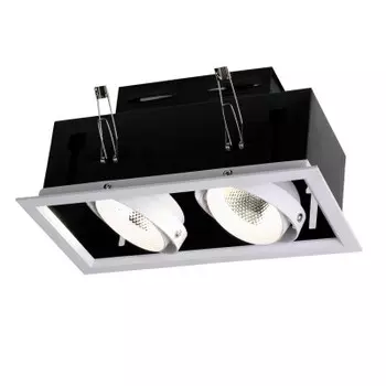 Врезной светильник Favourite 1985-2C Flashled