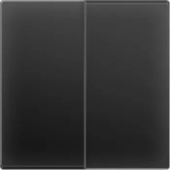 Выключатель двухклавишный (черный матовый) WL08-SW-2G Werkel