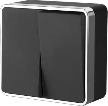 Выключатель двухклавишный Gallant (черный/хром) Werkel WL15-03-01