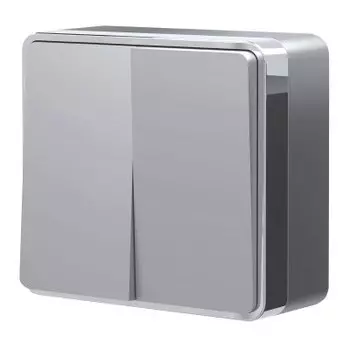 Выключатель двухклавишный Gallant (серебряный) W5020006 Werkel