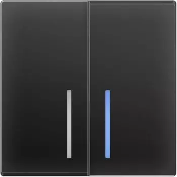 Выключатель двухклавишный с подсветкой (черный матовый) WL08-SW-2G-LED Werkel