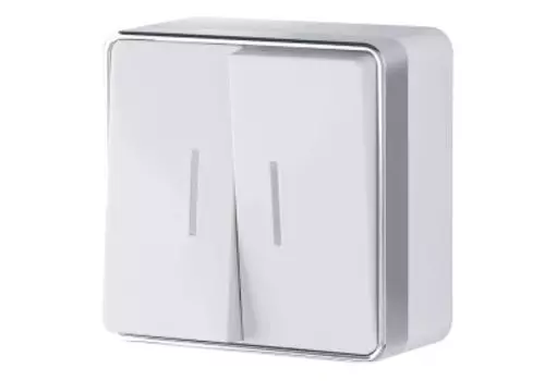 Выключатель двухклавишный с подсветкой Gallant (белый) WL15-03-03 Werkel