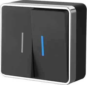 Выключатель двухклавишный с подсветкой Gallant (черный/хром) WL15-03-03 Werkel