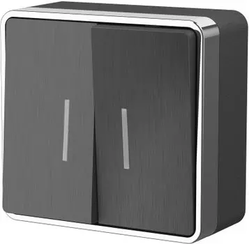 Выключатель двухклавишный с подсветкой Gallant (графит рифленый) WL15-03-03 Werkel