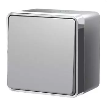 Выключатель одноклавишный влагозащищенный Gallant (серебряный) W5010206 Werkel