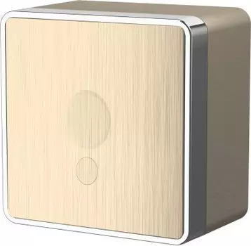 Вывод кабеля Gallant (шампань рифленый) Werkel WL15-16-01