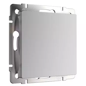 Заглушка (серебряный) W1159206 Werkel