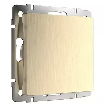 Заглушка (шампань рифленый) W1159210 Werkel