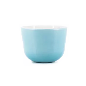 Чашка фарфоровая (бирюзовая) ES Cup