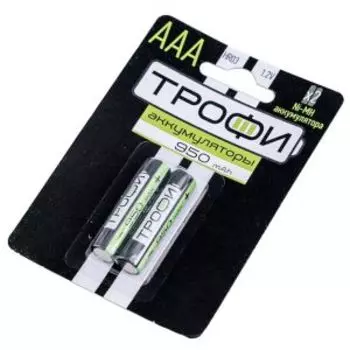 аккумулятор Трофи HR03-2BL 2хААА 950мАч C0032097