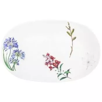 Блюдо Ботанический атлас, 28.5х17 см, фарфор