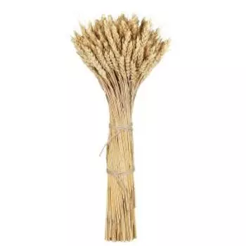 Букет из сухоцветов Donnaflor Пшеница натуральная, 30 см