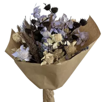 Букет сухоцветов, 30 см, абутилон/сафлор/вейник/сетария