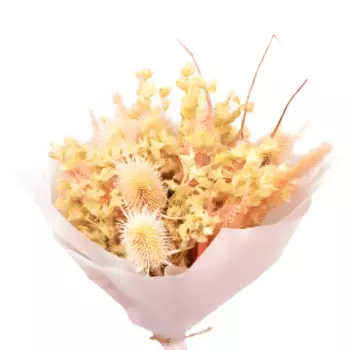 букет сухоцветов шандра, вейник, сетария с ворсянкой, 30 см