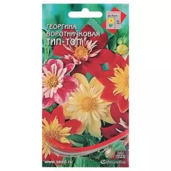 Cемена Георгина воротничковая Тип-Топ