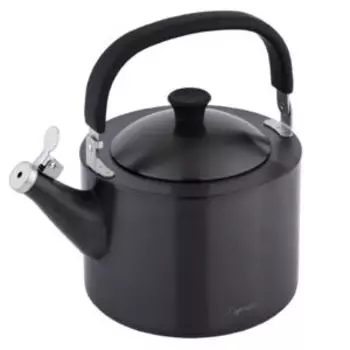 Чайник Esprado Magnifico, 2.5 л, нерж. сталь, матовый черный