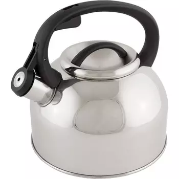 Чайник со свистком Arte, 2.5 л, нерж. сталь