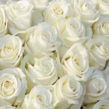 Фотообои бумажные Белоснежный букет, 294х260см, 12л