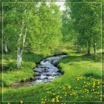 Фотообои бумажные Лесная речка, 196х201см, 6л