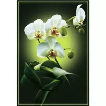 Фотообои бумажные Лунная соната, 134х196см, 4л