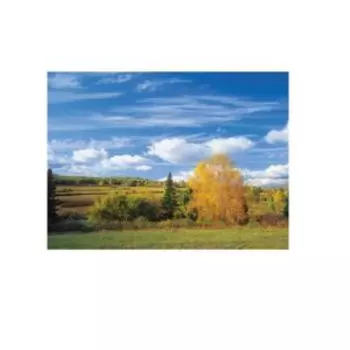 Фотообои бумажные Родные просторы, 300х201см, 9л