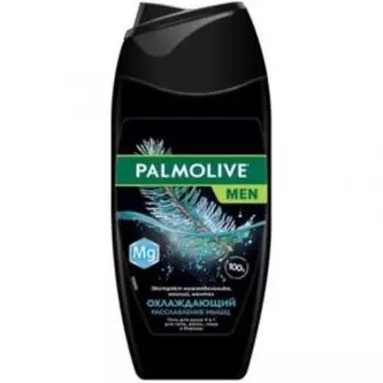 гель д/душа PALMOLIVE Охлаждающий, Расслабление мышц, муж, 250мл