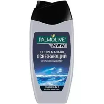 гель для душа PALMOLIVE Арктический ветер, 3в1, мужской