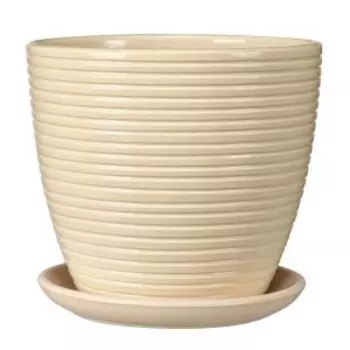 Горшок для цветов Спираль с поддоном, 12 см, 0,7 л, бежевый крокус